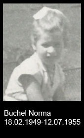 Büchel-Norma..-1949-bis-1955