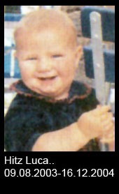 Hitz-Luca..-2003-bis-2004