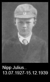 Nipp-Julius..-1927-bis-1939
