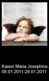 Kaiser-Maria-Josephine..-2011-bis-2011